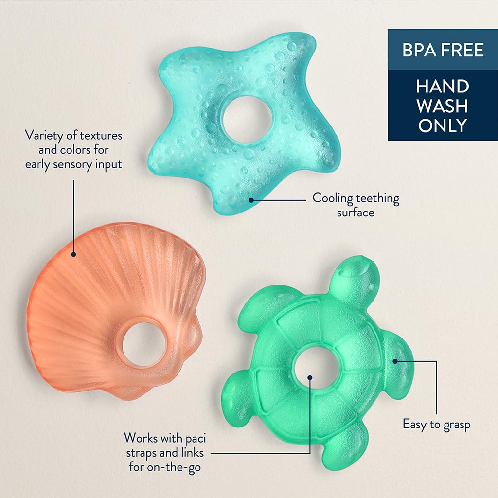 Itzy Ritzy Water-Filled Teethers - Cold Cutie Coolers Textured On Both Sides to Massage Sore Gums & Emerging Teeth - Can Be Chilled in Refrigerator, Set of 3 Green Cactus Water Teethers