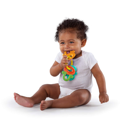 Bright Starts Oball Shaker Rattle Toy, Ages Newborn Plus