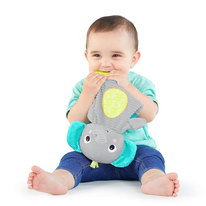 Bright Starts Snuggle & Teethe BPA-Free Crinkle Teething Plush Baby Toy - Giraffe