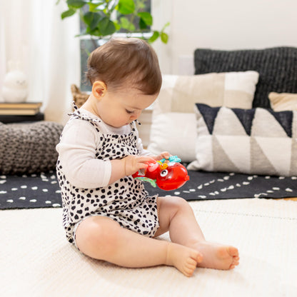 Baby Einstein Take Along Tunes Musical Toy, Ages 3 Months +