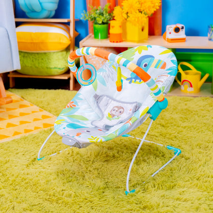 Bright Starts Baby Bouncer Soothing Vibrations Infant Seat - Removable -Toy Bar, Nonslip Feet, 0-6 Months Up to 20 lbs (Safari Fun)