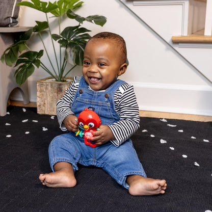 Baby Einstein Take Along Tunes Musical Toy, Ages 3 Months +