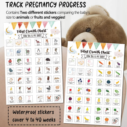 Pregnancy Water Bottle Tracker(Black), 1st Trimester Must Haves Gift for First Time Moms, with 2 Different Weekly Stickers, Early Essentials Gifts for Pregnant Women, Maternity, BPA Free