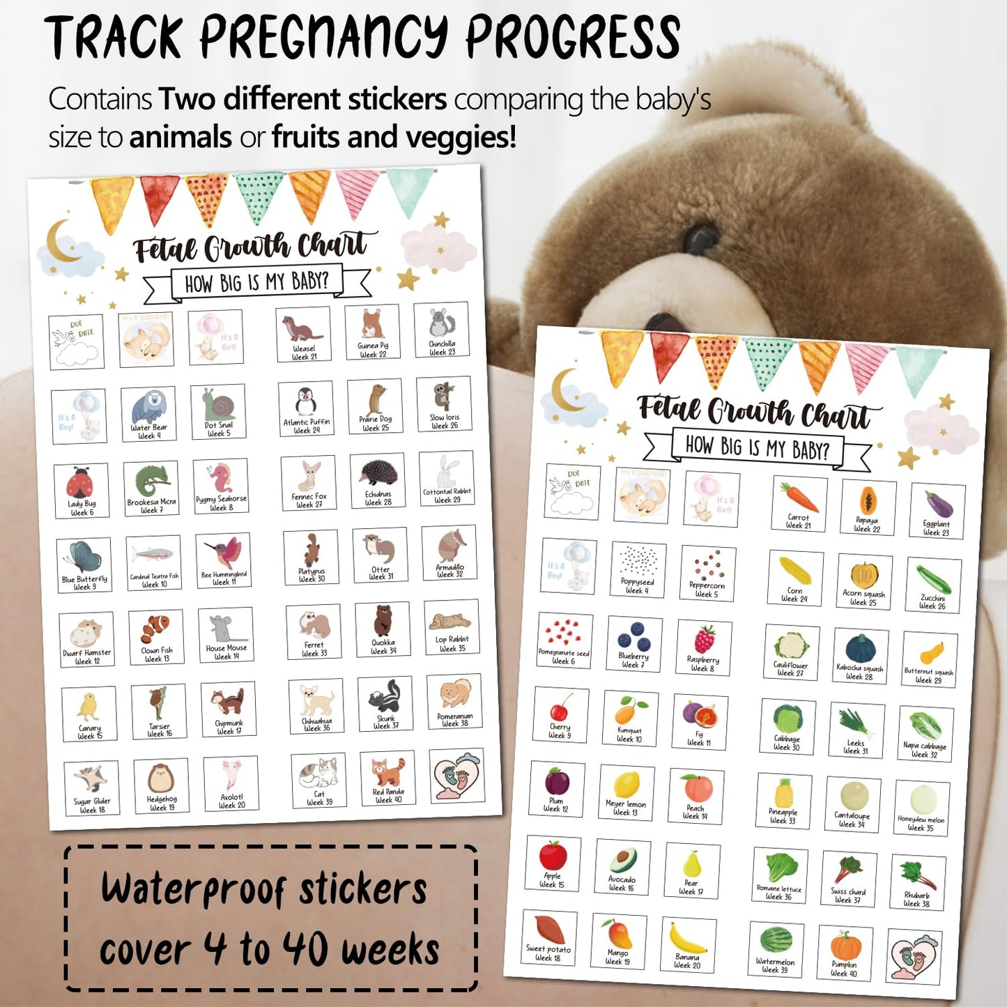 Pregnancy Water Bottle Tracker(Black), 1st Trimester Must Haves Gift for First Time Moms, with 2 Different Weekly Stickers, Early Essentials Gifts for Pregnant Women, Maternity, BPA Free
