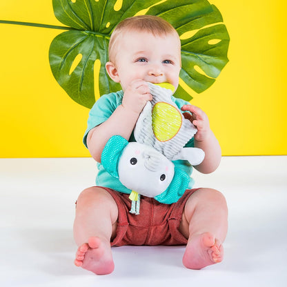 Bright Starts Snuggle & Teethe BPA-Free Crinkle Teething Plush Baby Toy - Giraffe